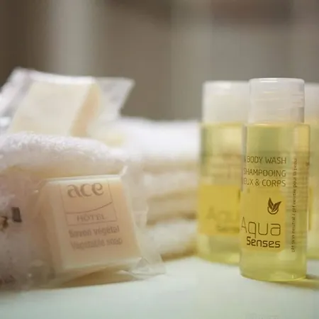 Ace Bordeaux-cestas Hotel 3*